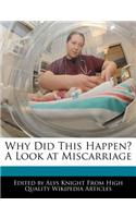 Why Did This Happen? a Look at Miscarriage