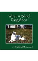 What A Blind Dog Sees