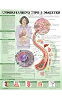 Understanding Type 2 Diabetes Anatomical Chart