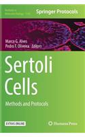 Sertoli Cells