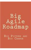 Big Agile Roadmap: Big Picture and Big Change