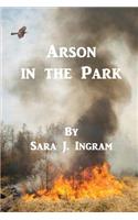 Arson in the Park