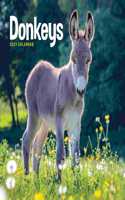 DONKEYS SQUARE WALL CALENDAR 2021