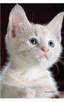 Journal Pages - White Cat: 6" X 9," Lined Journal, Blank Book Notebook, Durable Cover,150 Pages for Writing