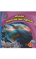 Discover Sea Turtles