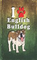 English Bulldog