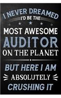 I Never Dreamed I'd Be The Most Awesome Auditor On The Planet But Here I Am Absolutely Crushing It