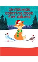 Christmas Coloring Book For Adults