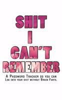 Shit I Can't Remember