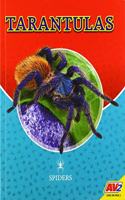 Tarantulas: (Spiders)