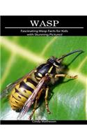 Wasp: Fascinating Wasp Facts for Kids with Stunning Pictures!