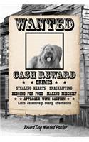 Briard Dog Wanted Poster: Weekly Planner Notebook 365 Daily - 52 Week Journal 120 Pages 6x9