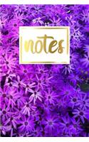 Notes