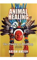 Animal Healing