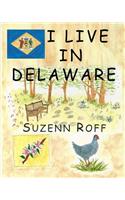 I Live in Delaware