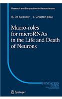 Macro Roles for MicroRNAs in the Life and Death of Neurons