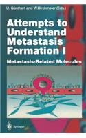 Attempts to Understand Metastasis Formation I