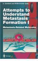 Attempts to Understand Metastasis Formation I