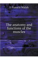 The Anatomy and Functions of the Muscles