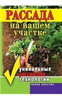 Seedlings on your site. Unique Russian technology