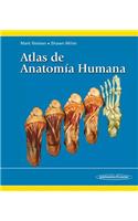 Atlas de Anatomia Humana