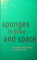 Sponges in Time and Space