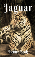 Jaguars Picture Book