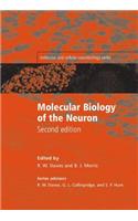 Molecular Biology of the Neuron