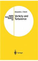 Vorticity and Turbulence