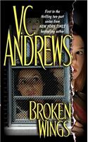 Broken Wings: (Broken Wings)