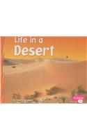 Life in a Desert