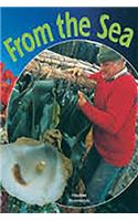 Leveled Reader: From the Sea(Rigby Focus Fluent 1)