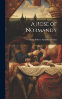Rose of Normandy