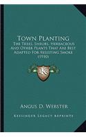 Town Planting