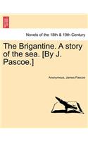 Brigantine. a Story of the Sea. [By J. Pascoe.] Vol. II