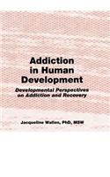 Addiction in Human Development