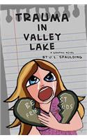 Trauma In Valley Lake