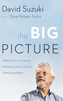 Big Picture
