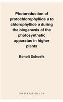 Photoreduction of Protochlorophyllide A to Chlorophyllide a During the Biogenesis of the Photosynthetic Apparatus in Higher Plants