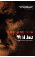 Soldier of the Revolution