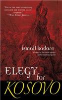 Elegy for Kosovo