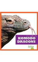 Komodo Dragons