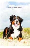 I Love My Berner Sennen