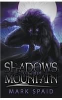 Shadows on the Mountain