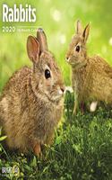 RABBITS WALL CALENDAR 2020