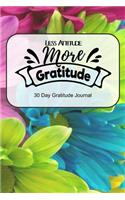 Less Attitude More Gratitude