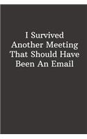 I Survived Another Meeting That Should Have Been An Email