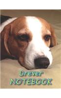 Drever NOTEBOOK: Notebooks and Journals 110 pages (8.5"x11")