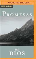 Promesas de Dios Para Cada Una de Sus Necesidades