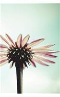 Coneflower In Summertime Light - Lined Notebook with Margins - 6X9: 101 Pages, Medium Ruled, 6 x 9 Journal, Soft Cover